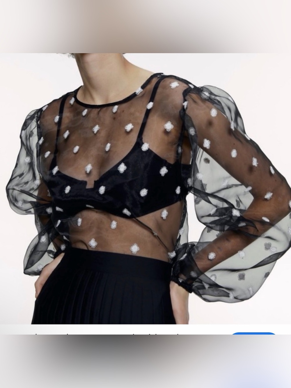 Zara Embroidered Organza long Sleeve